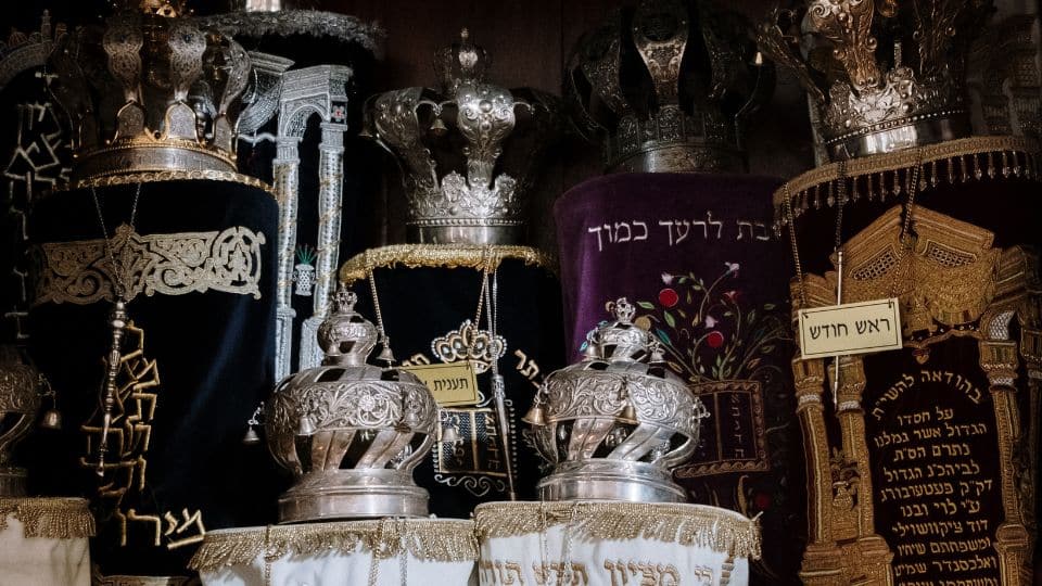 הכל על עצי חיים
